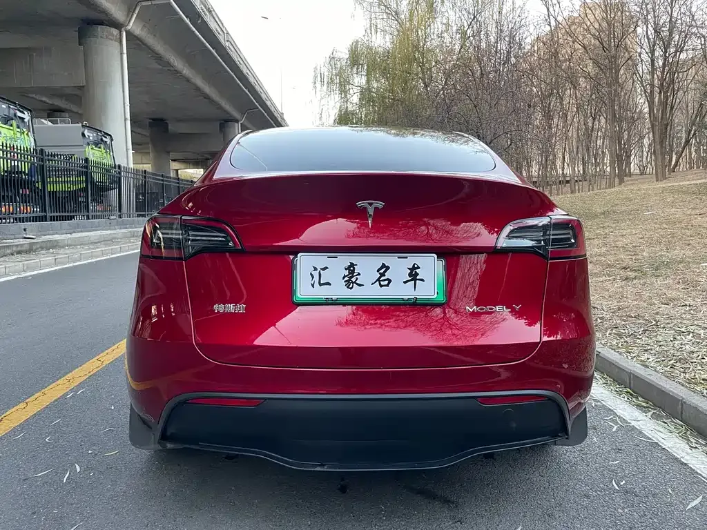 Tesla Model Y 2024 из CN, фото 6