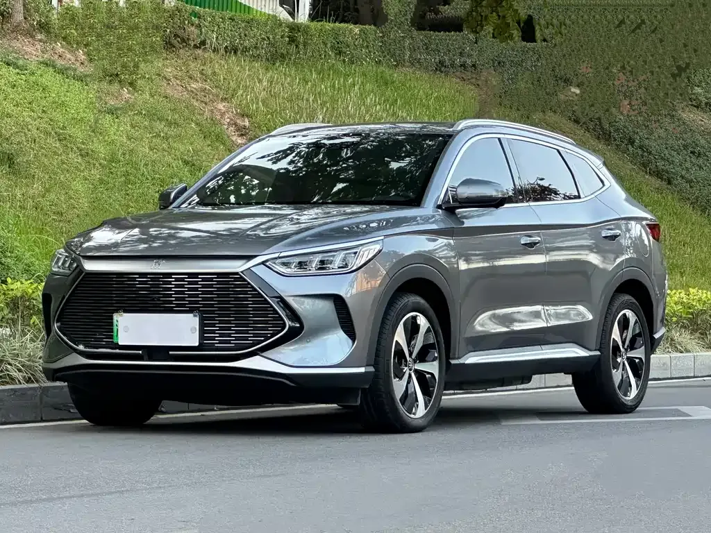 BYD PLUS New Energy 2022 из CN, фото 1