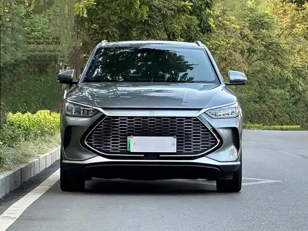 BYD PLUS New Energy 2022 из CN, фото 4
