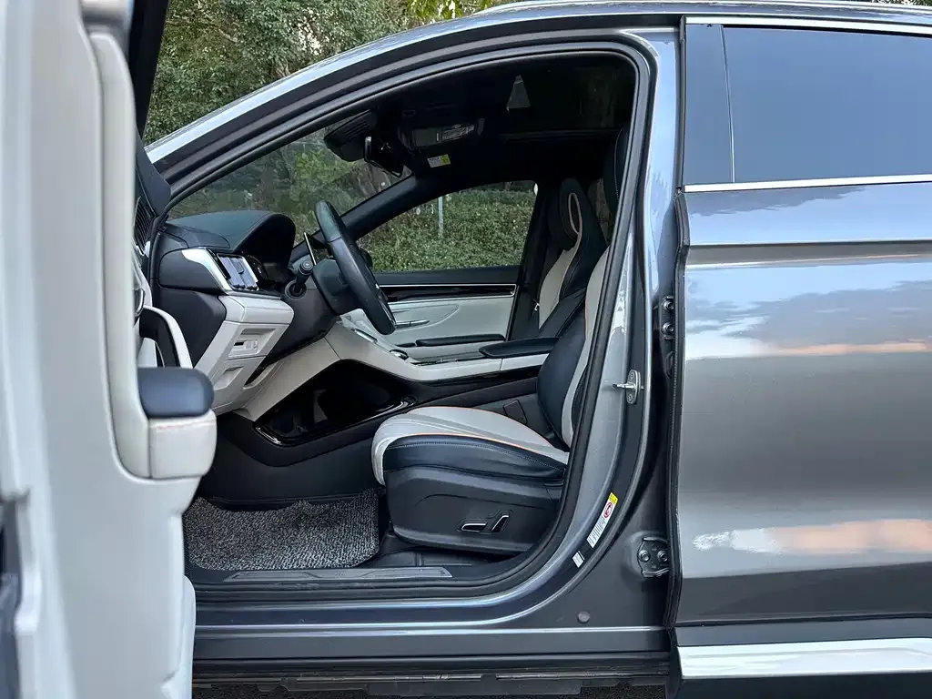 BYD PLUS New Energy 2022 из CN, фото 2
