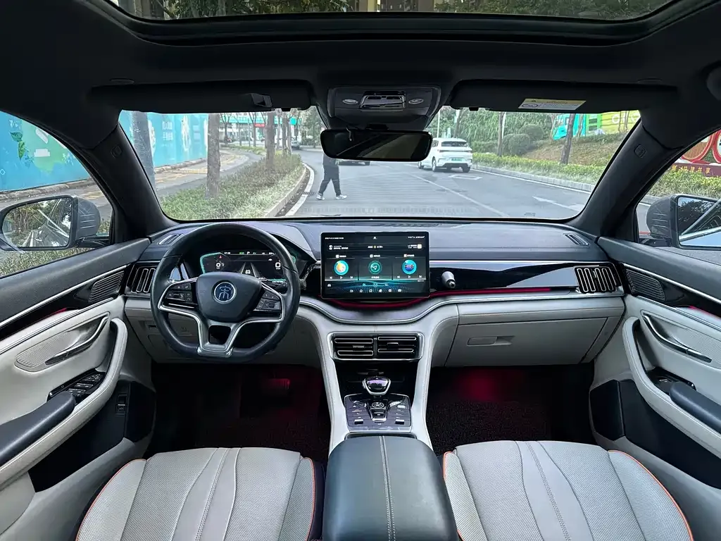 BYD PLUS New Energy 2022 из CN, фото 8