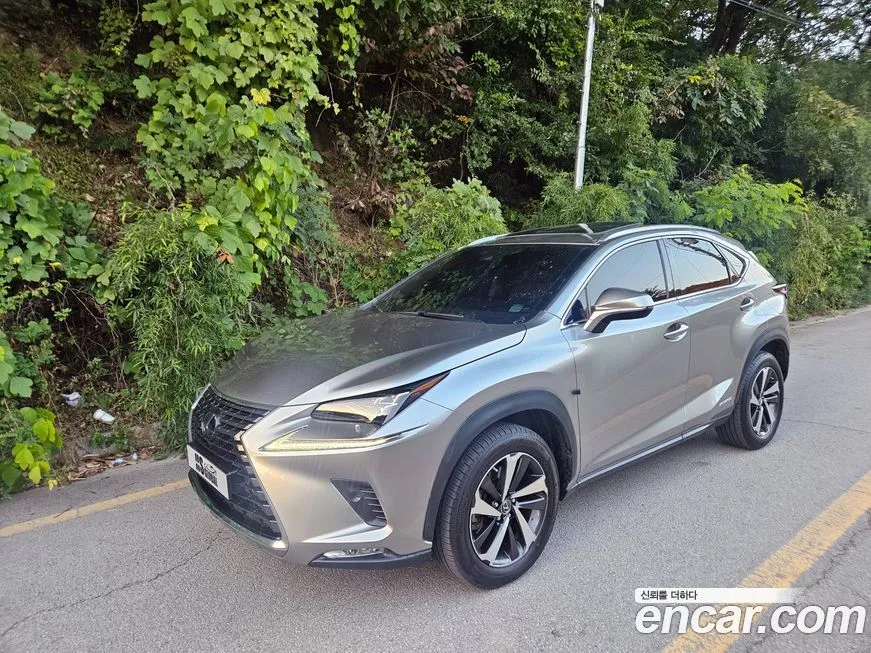 Lexus NX 2021 из KR, фото 1