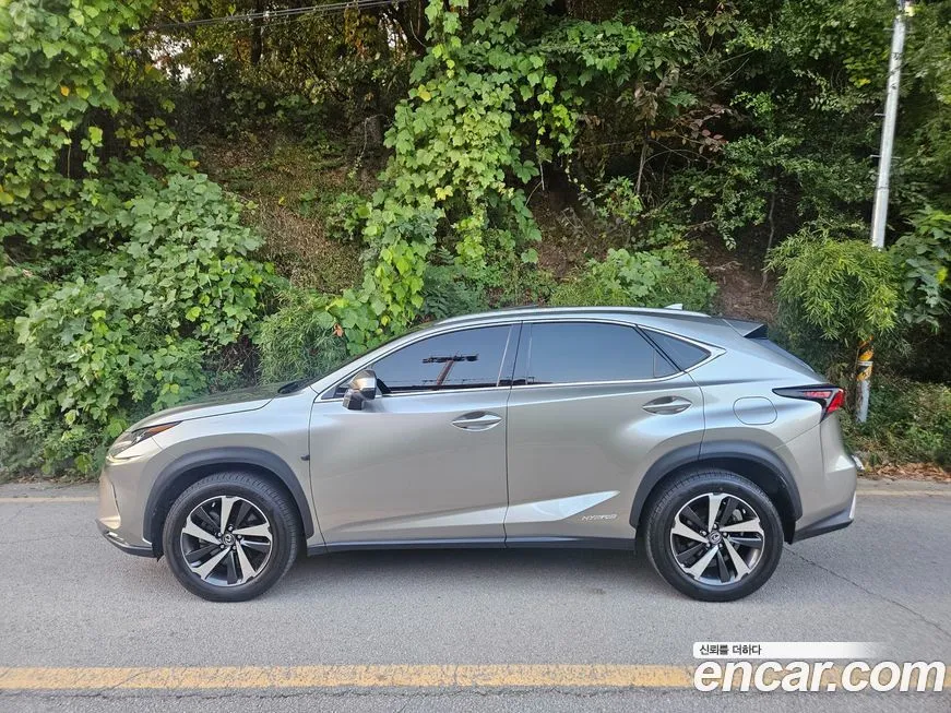 Lexus NX 2021 из KR, фото 4
