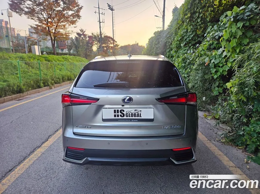Lexus NX 2021 из KR, фото 6
