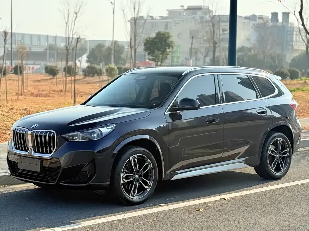 BMW X1 — фото 1