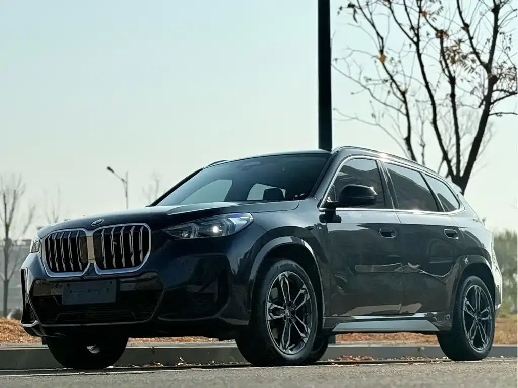 BMW X1 — фото 4
