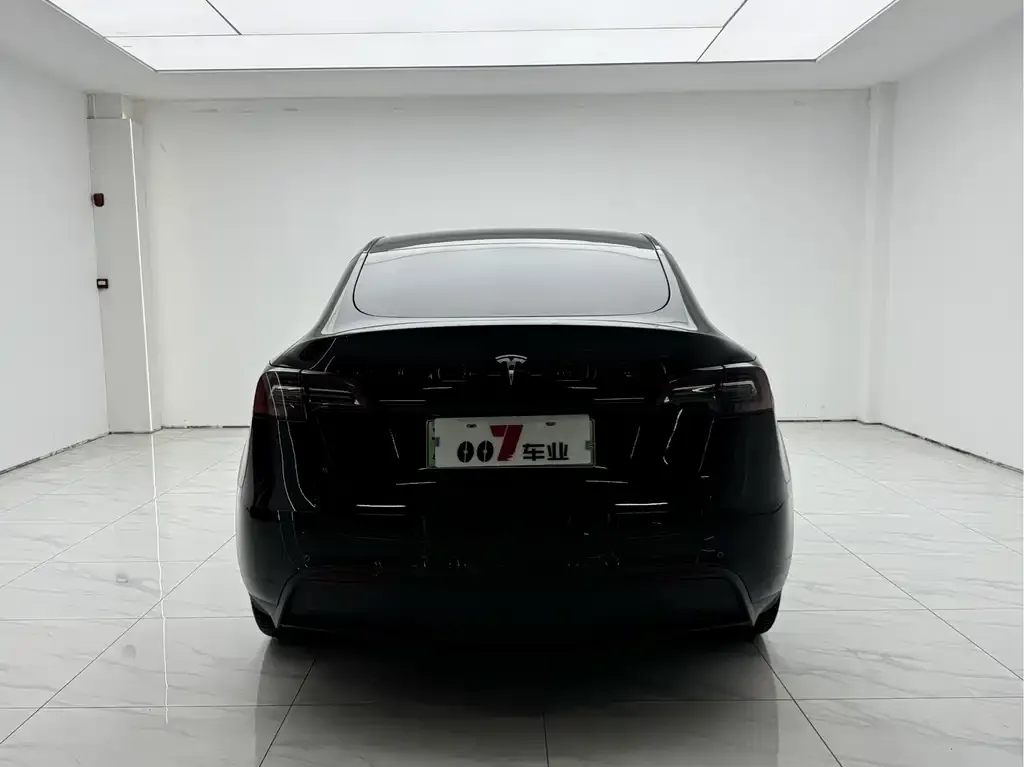 Tesla Model Y 2023 из CN, фото 2