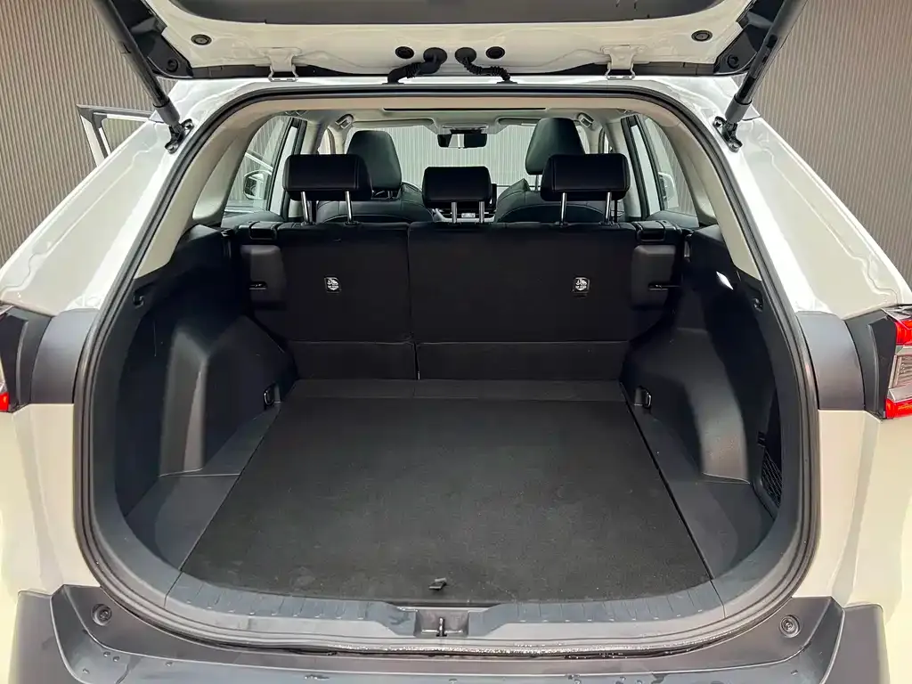 Toyota Wildlander 2023 из CN, фото 5