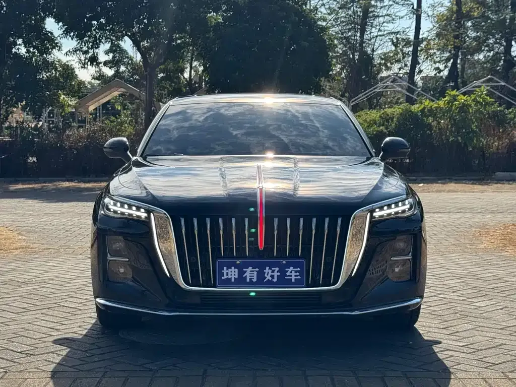 Hongqi H5 2025 из CN, фото 6