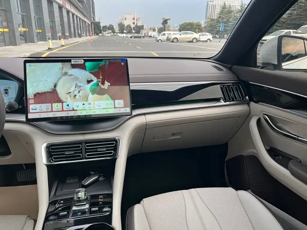 BYD PLUS New Energy 2025 из CN, фото 6