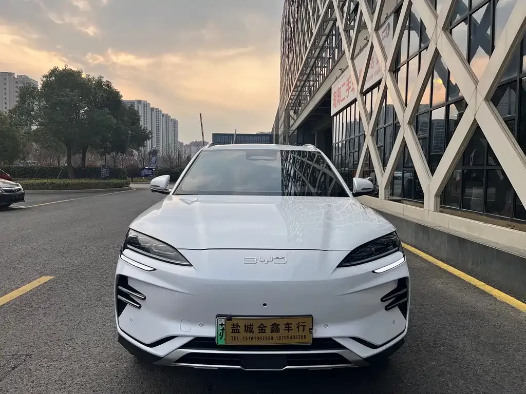 BYD PLUS New Energy 2025 из CN, фото 8