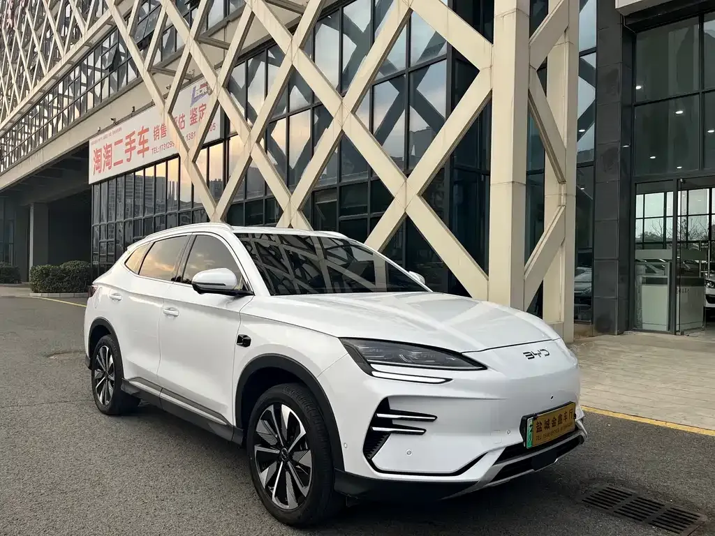 BYD PLUS New Energy 2025 из CN, фото 10