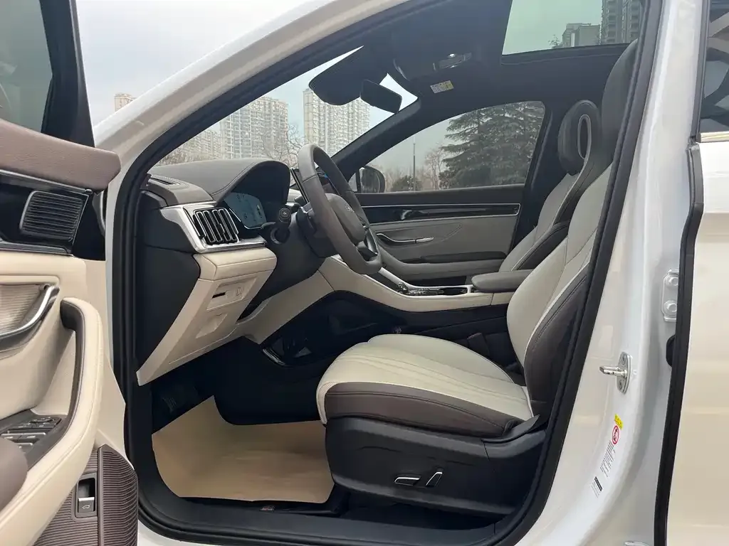 BYD PLUS New Energy 2025 из CN, фото 9