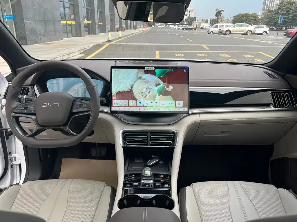 BYD PLUS New Energy 2025 из CN, фото 7