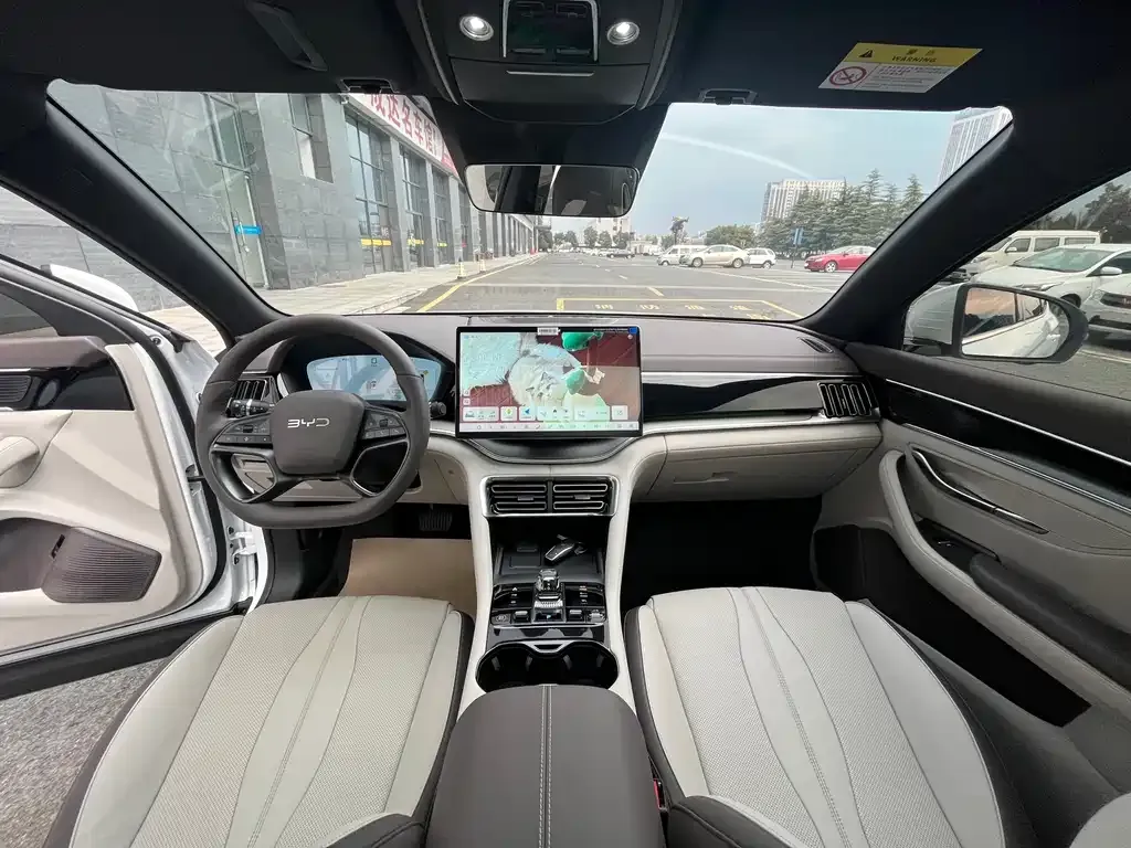 BYD PLUS New Energy 2025 из CN, фото 3
