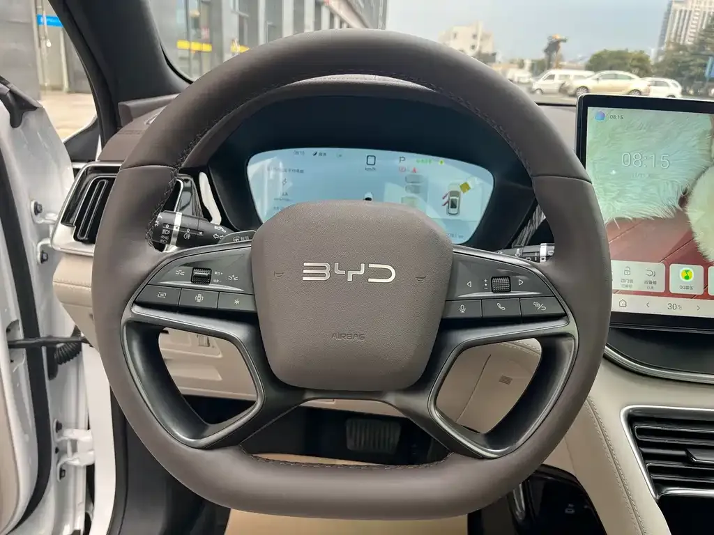 BYD PLUS New Energy 2025 из CN, фото 5