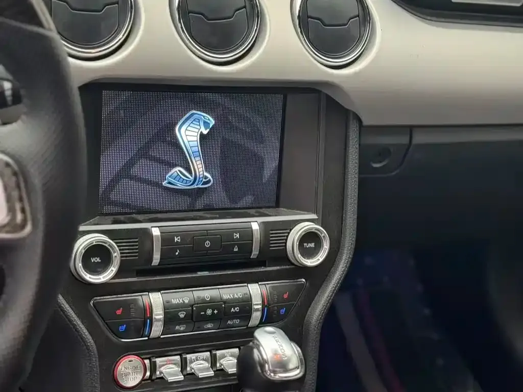 Ford Mustang 2021 из CN, фото 2