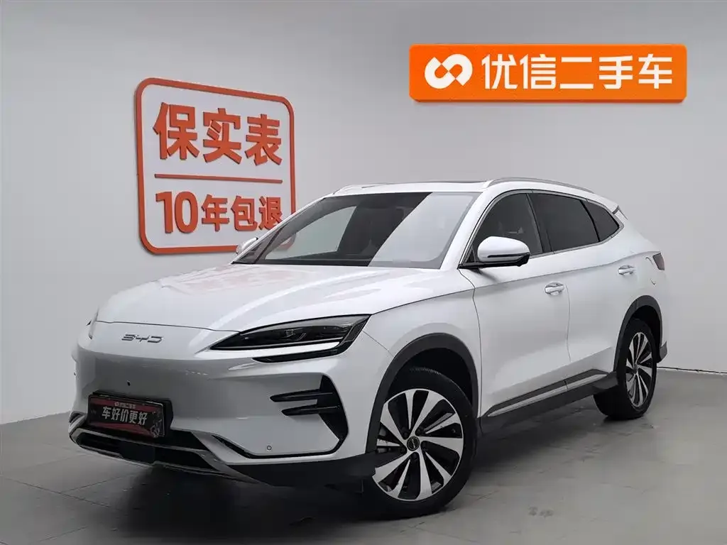 BYD PLUS New Energy 2024 из CN, фото 1