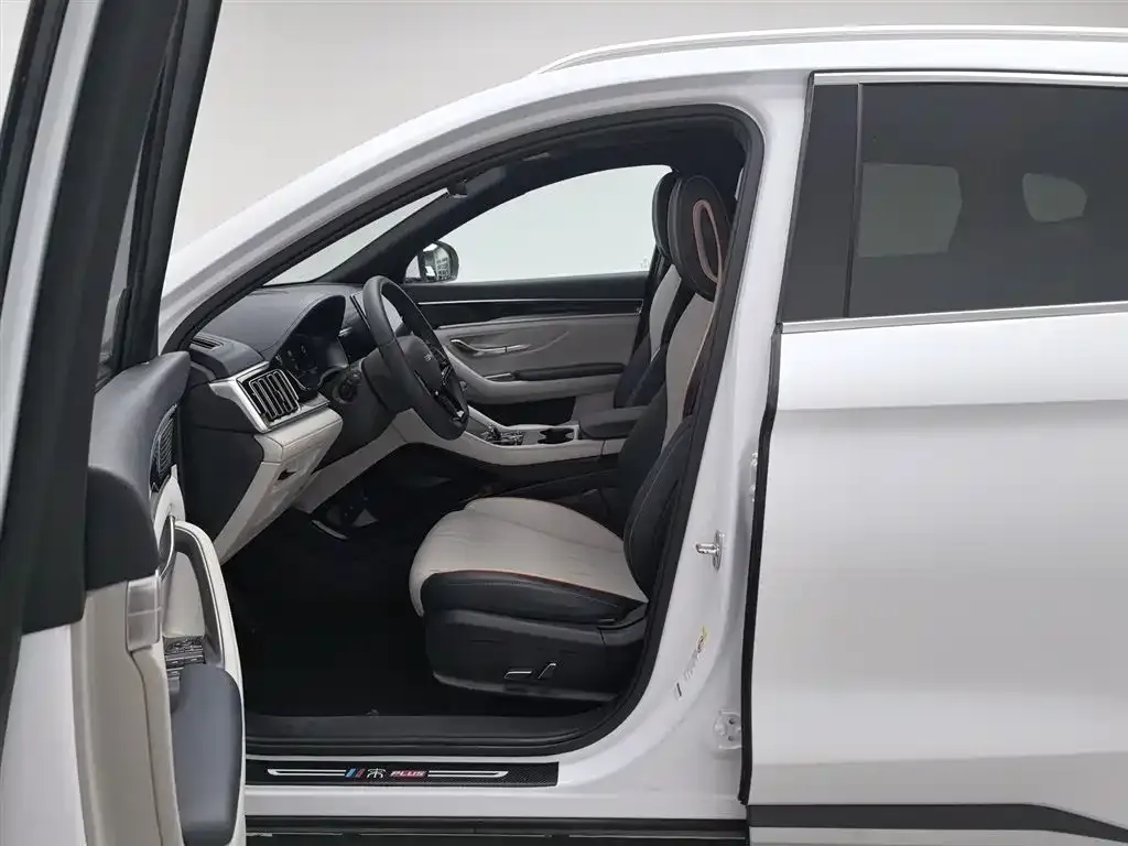 BYD PLUS New Energy 2024 из CN, фото 8