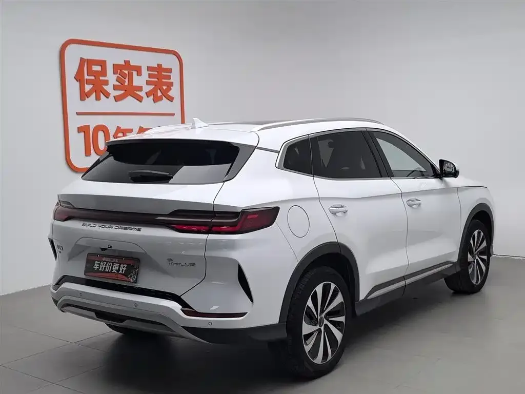 BYD PLUS New Energy 2024 из CN, фото 4
