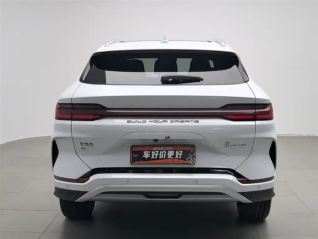 BYD PLUS New Energy 2024 из CN, фото 10