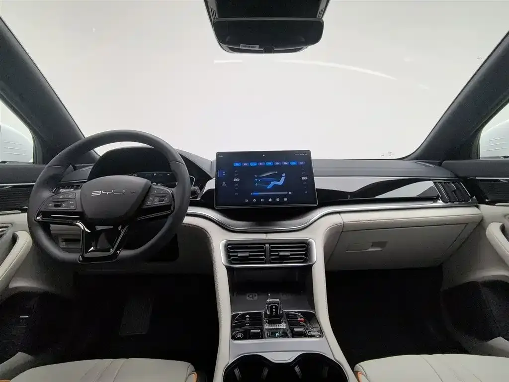 BYD PLUS New Energy 2024 из CN, фото 9