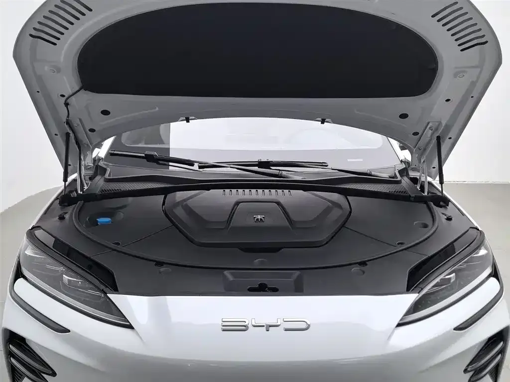 BYD PLUS New Energy 2024 из CN, фото 5