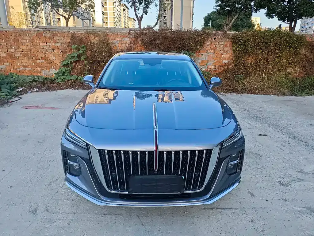 Hongqi H5 2023 из CN, фото 1