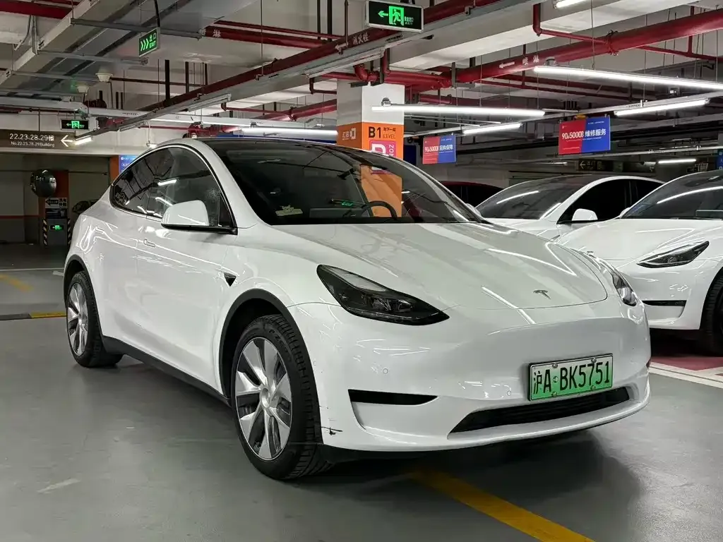 Tesla Model Y — фото 2