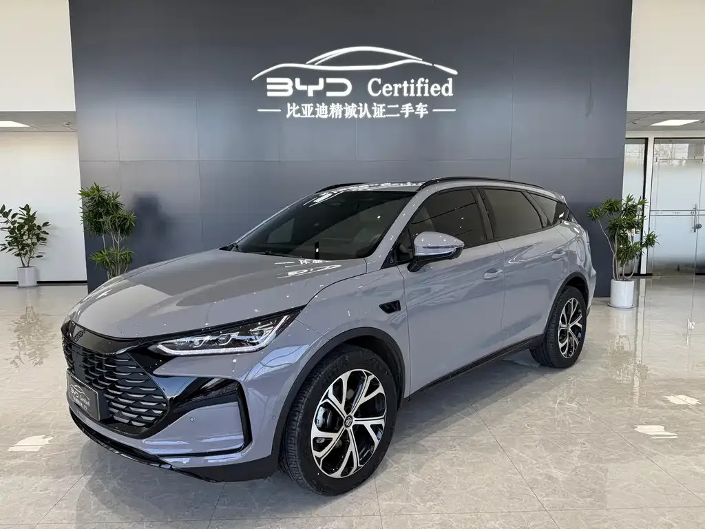 BYD Tang New Energy 2025 из CN, фото 1