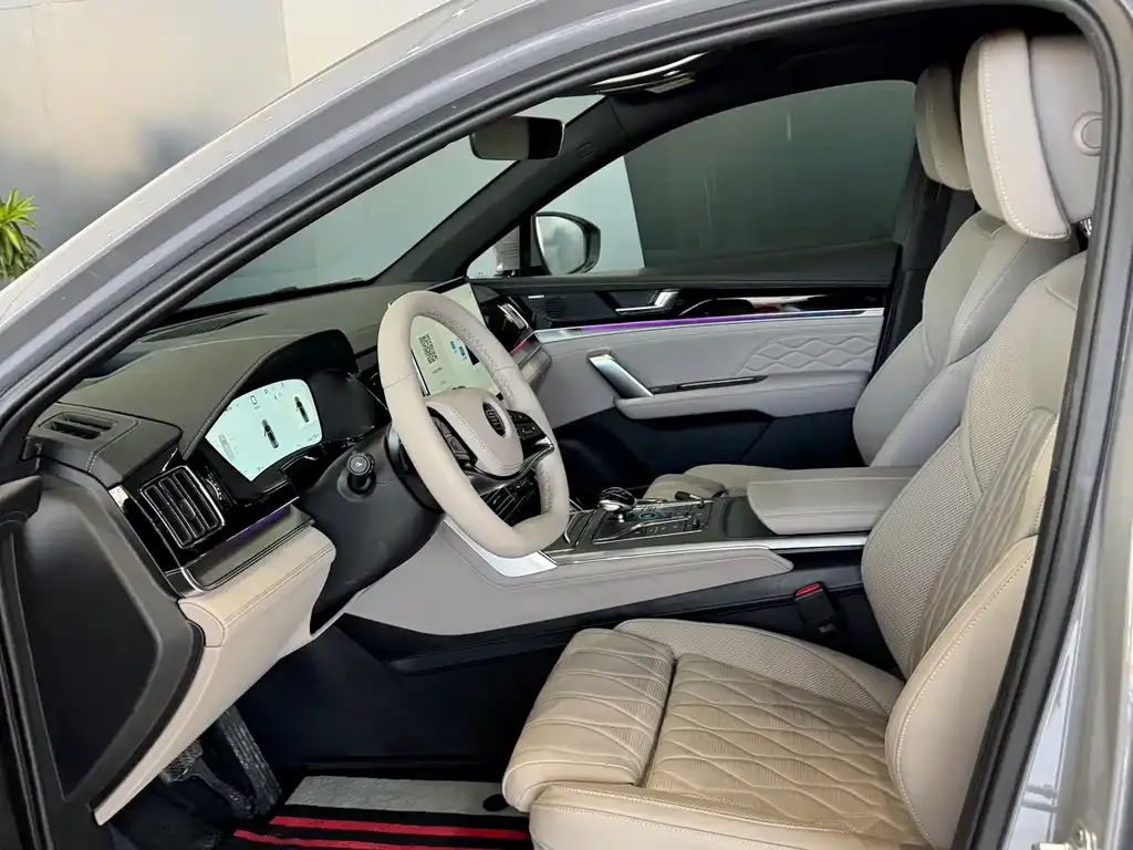 BYD Tang New Energy 2025 из CN, фото 7