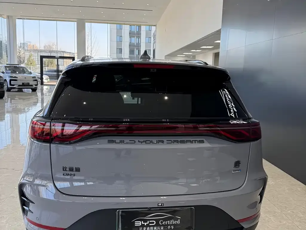 BYD Tang New Energy 2025 из CN, фото 5