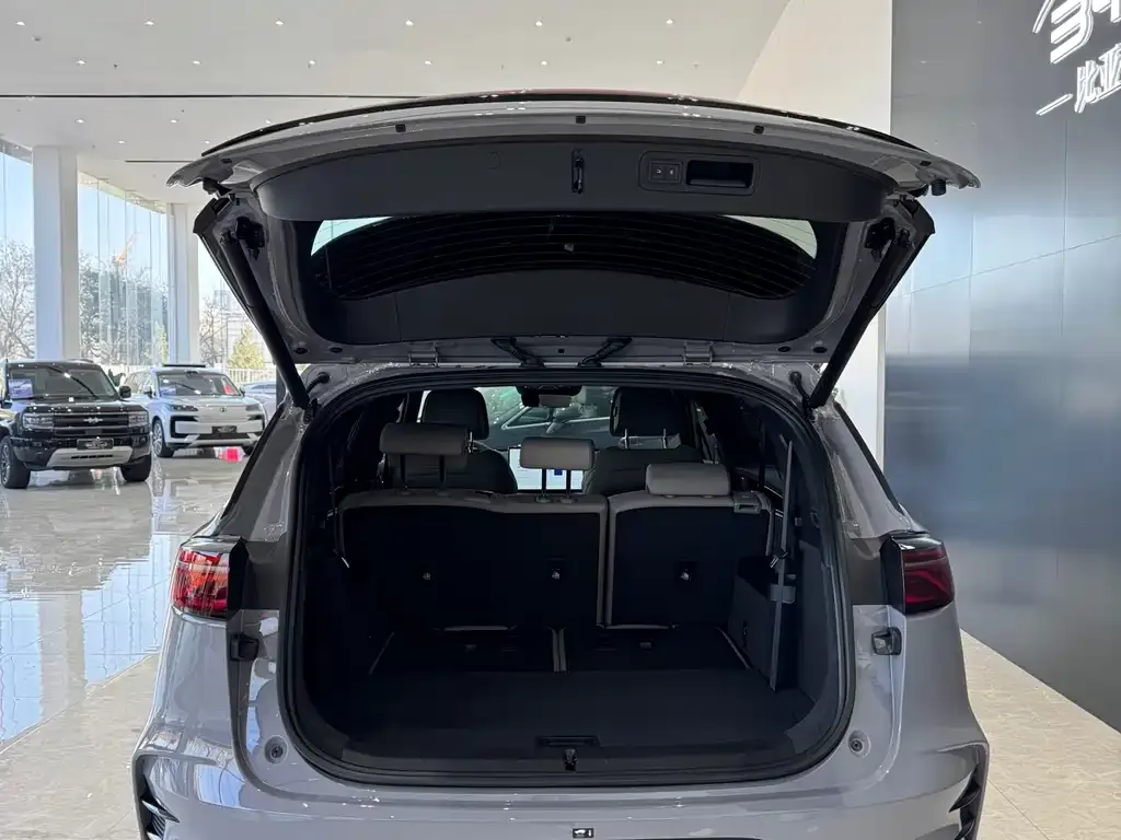 BYD Tang New Energy 2025 из CN, фото 3
