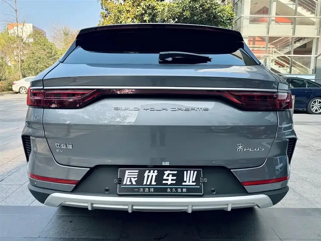 BYD PLUS New Energy 2023 из CN, фото 3