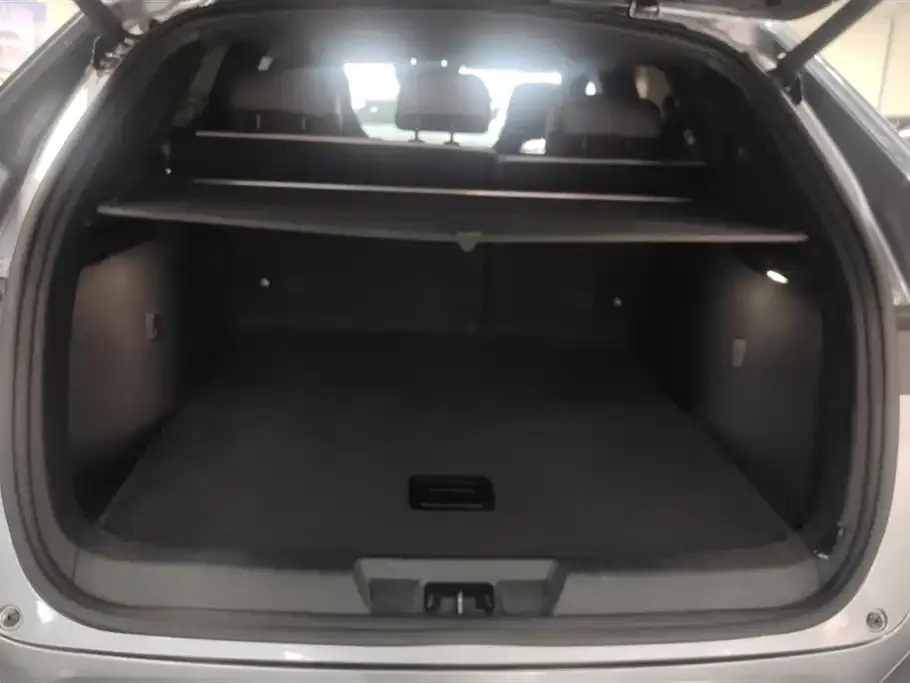 BYD PLUS New Energy 2025 из CN, фото 3
