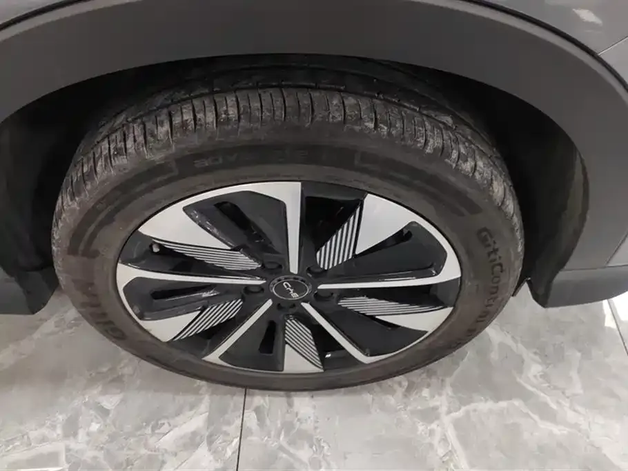 BYD PLUS New Energy 2025 из CN, фото 2