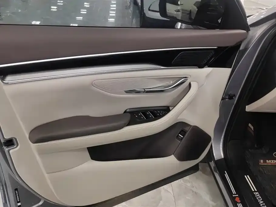 BYD PLUS New Energy 2025 из CN, фото 4
