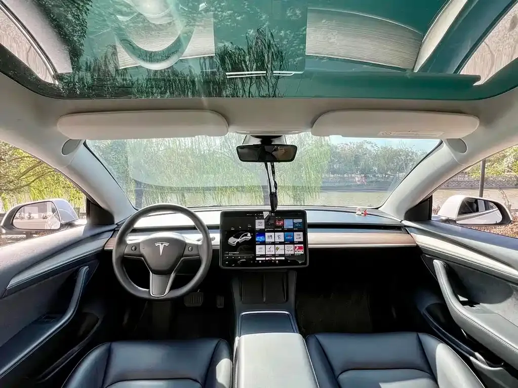 Tesla Model 3 2021 из CN, фото 2