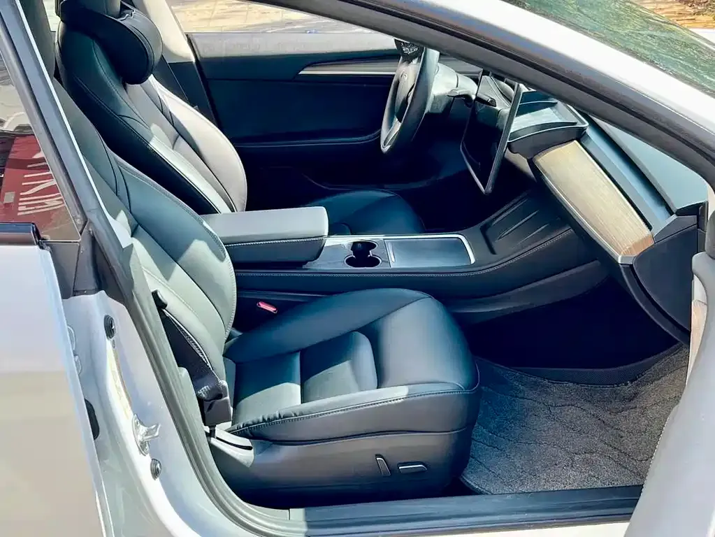 Tesla Model 3 2021 из CN, фото 5