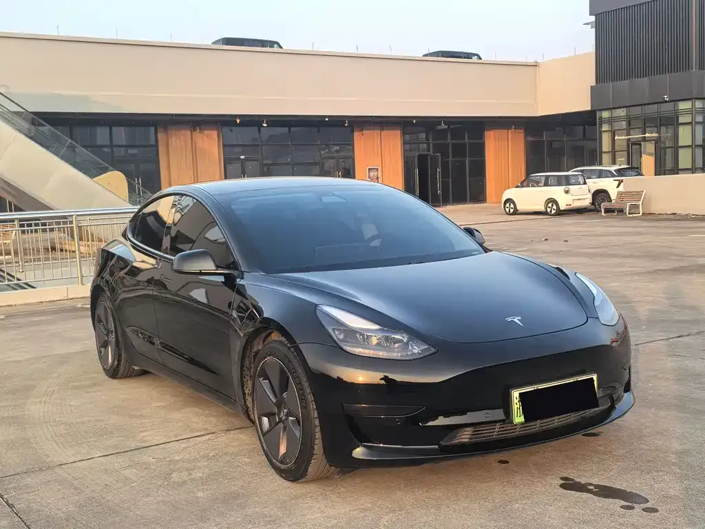 Tesla Model 3 2021 из CN, фото 1