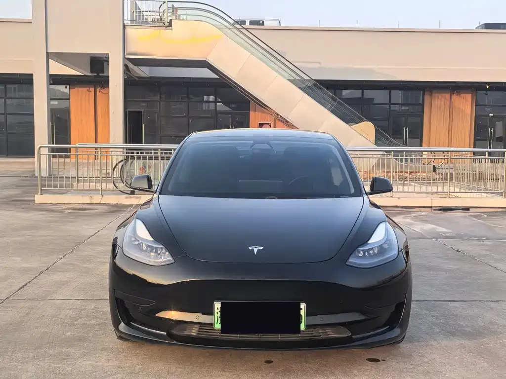 Tesla Model 3 2021 из CN, фото 2