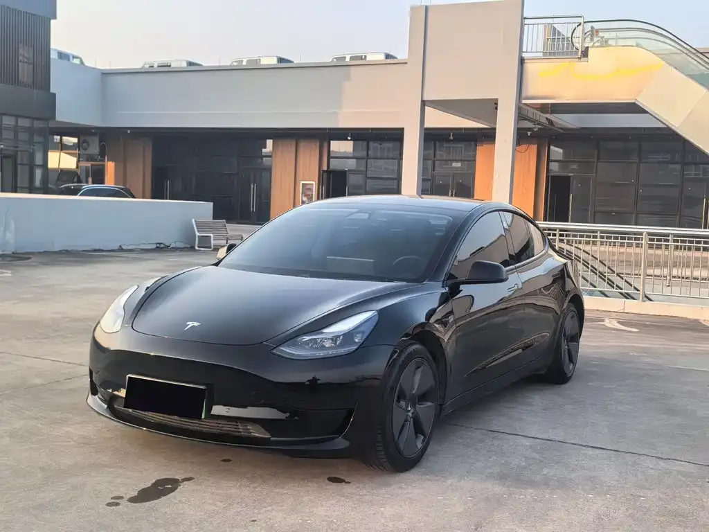 Tesla Model 3 2021 из CN, фото 3
