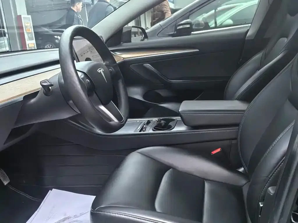 Tesla Model 3 2021 из CN, фото 4