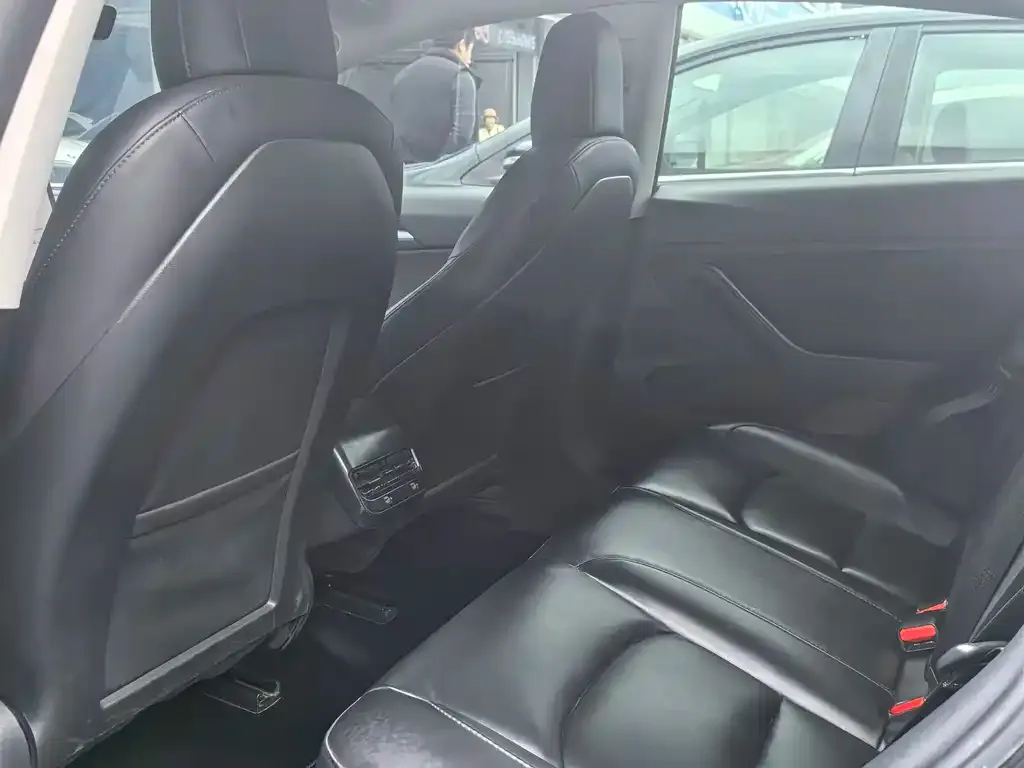 Tesla Model 3 2021 из CN, фото 5