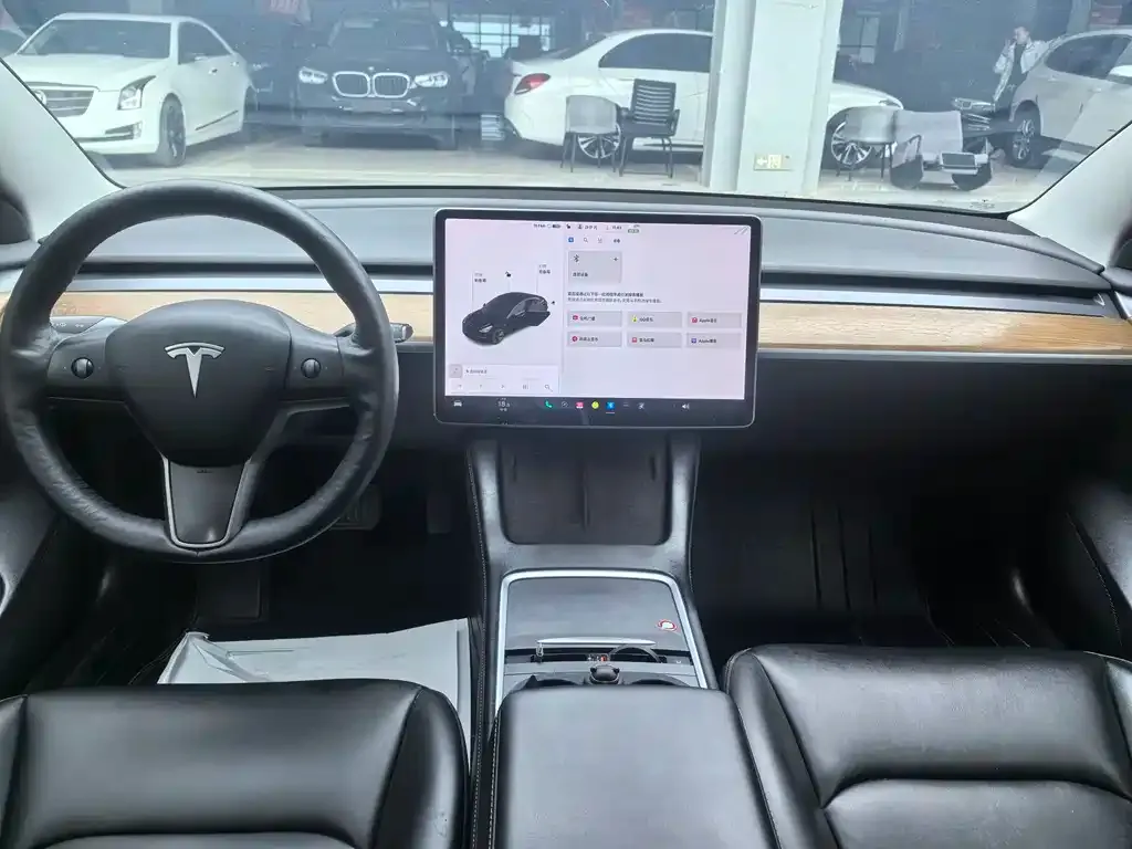 Tesla Model 3 2021 из CN, фото 6