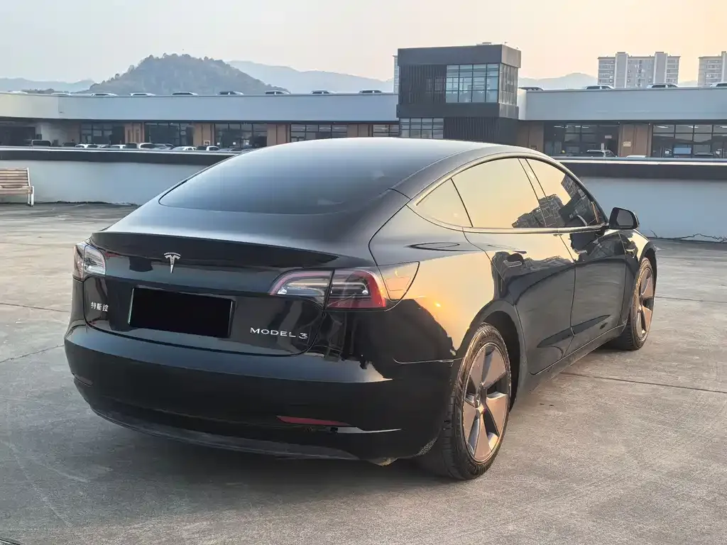 Tesla Model 3 2021 из CN, фото 7