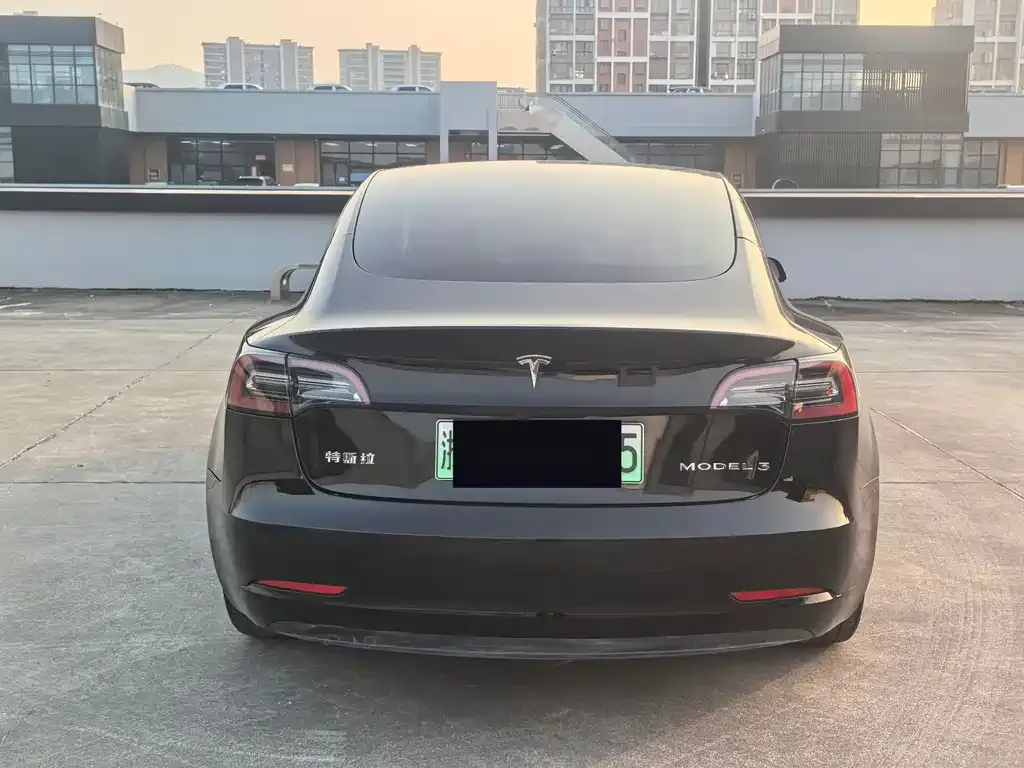 Tesla Model 3 2021 из CN, фото 8