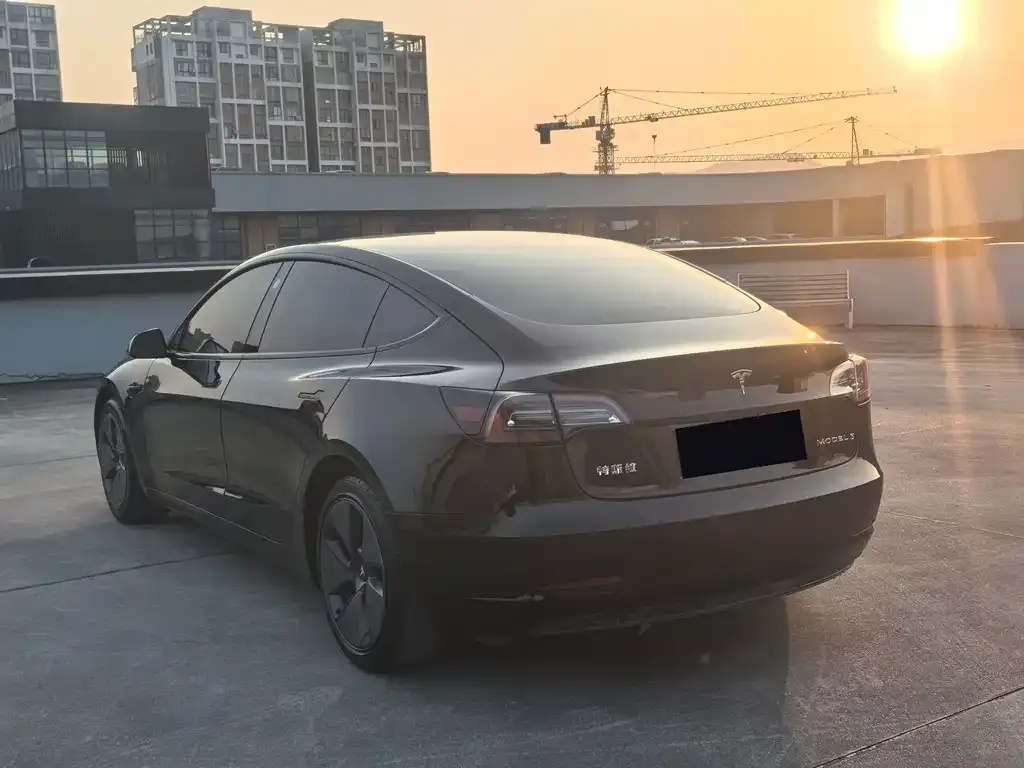 Tesla Model 3 2021 из CN, фото 9