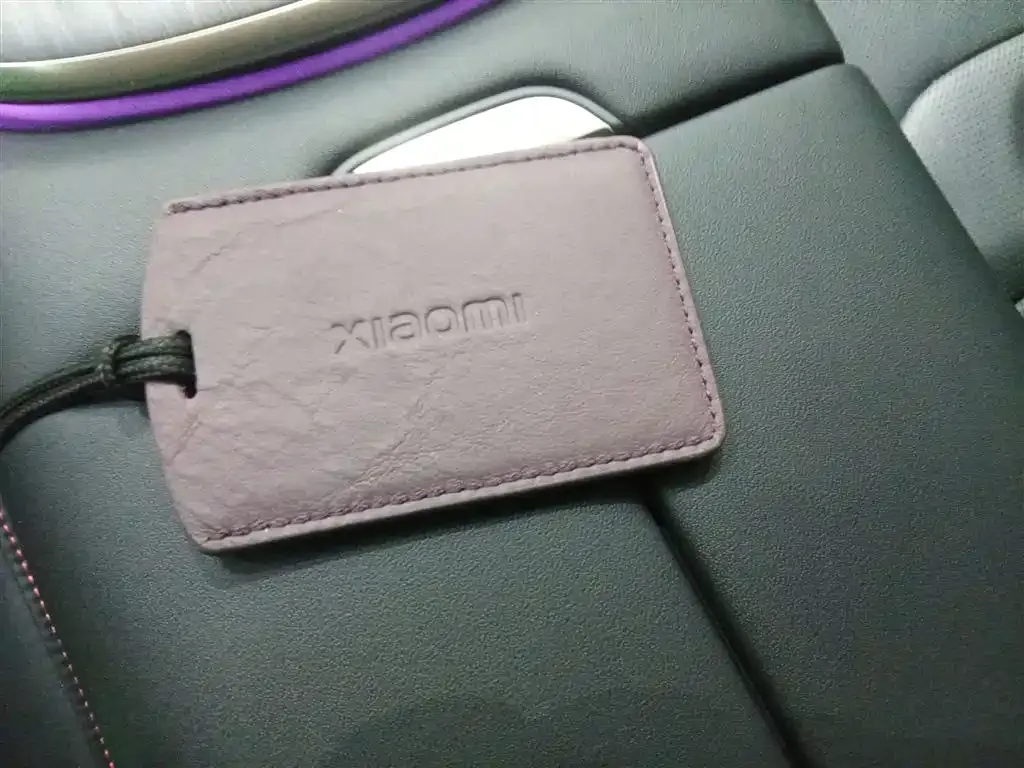 Xiaomi SU7 2024 из CN, фото 8
