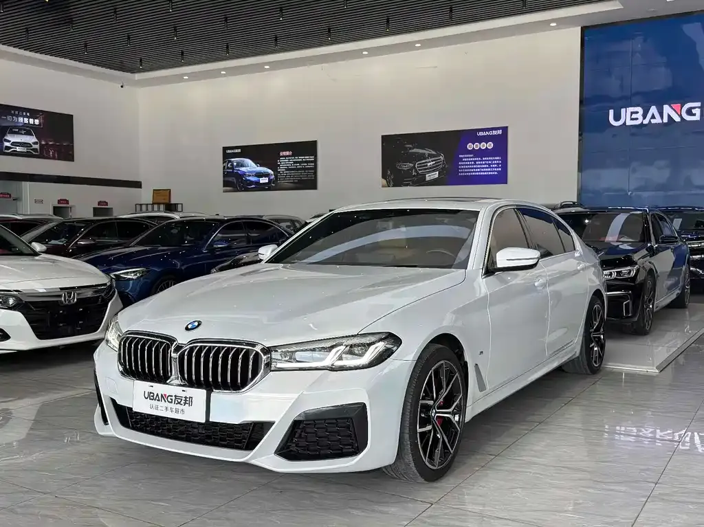 BMW 5 Series 2021 из CN, фото 1